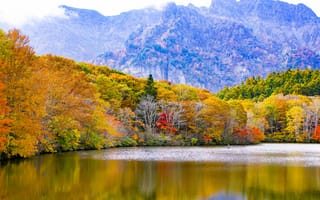 Картинка Япония, Природа, Деревья, Осень, Тогакуси, Горы, Озеро