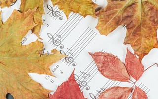 Обои Осень, Листья, Буквы, Ноты, Разное