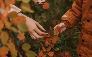 Картинка Осень, Листья, Руки, Разное, Пальцы, Ветки