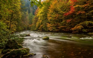 Картинка Природа, Деревья, Река, Германия, Гарц, Осень
