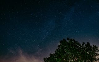 Картинка Природа, Ночь, Дерево, Звездное Небо