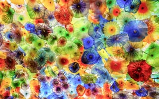 Картинка Медузы, Животные, Подводный Мир, Разноцветный