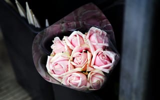 Обои Цветы, Розы, Букет, Розовый
