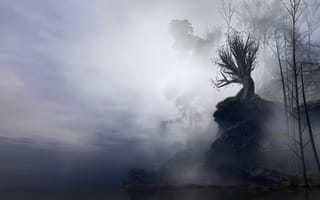 Картинка Природа, Арт, Ветки, Туман, Обрыв, Дерево, Скала, Мрачный
