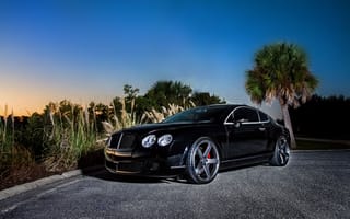 Картинка Бэнтли (Bentley), Тачки (Cars), Continental Gt, Вид Сбоку, Черный