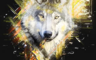Картинка Хищник, Арт, Морда, Волк