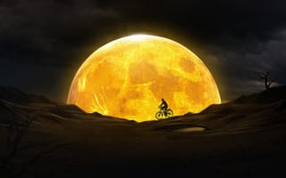 Картинка Ночь, Луна, Силуэт, Темный, Велосипедист, Темные