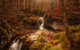Обои Ручей, Природа, Осень, Лес, Водопад