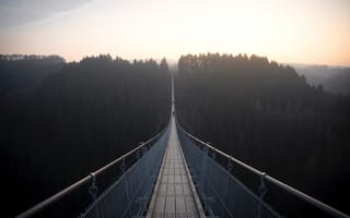 Обои Природа, Лес, Подвесной Мост, Мост, Туман