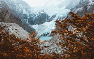 Картинка Горы, Природа, Аргентина, Эль-Чалтен, Озеро, Деревья