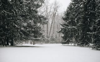 Картинка Пейзаж, Зима, Деревья, Природа, Снег