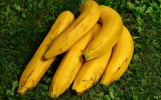 Обои Бананы, Фрукты, Спелый, Еда, Трава