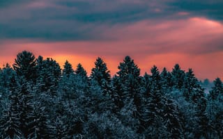 Картинка Зима, Природа, Деревья, Небо, Заснеженный, Словения