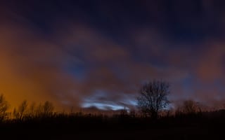 Картинка Ночь, Природа, Звездное Небо, Облака, Туман, Дерево