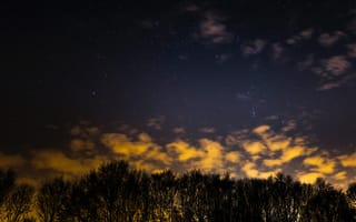 Картинка Природа, Деревья, Звездное Небо, Облака, Ночь