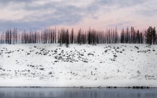 Картинка Зима, Природа, Снег, Деревья, Возвышенность, Заснеженный