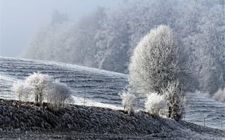 Картинка Зима, Природа, Поле, Снег, Деревья, Иней