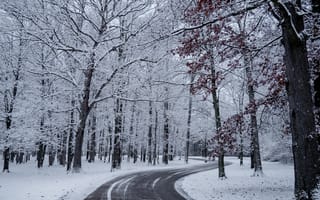 Картинка Зима, Природа, Деревья, Дорога, Снег, Поворот