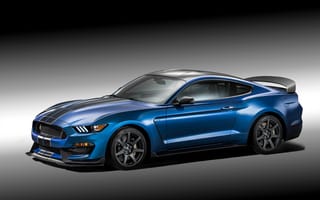 Картинка Мустанг (Mustang), Тюнинг, Gt350R, Тачки (Cars), Форд (Ford), 2015, Shelby