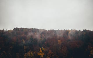 Картинка Природа, Осень, Лес, Облака