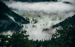 Картинка Природа, Деревья, Туман, Вершина, Горы