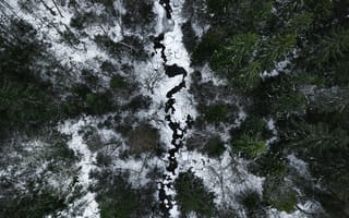 Картинка Зима, Природа, Лес, Вид Сверху, Река, Снег
