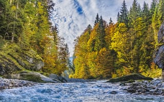 Картинка Природа, Деревья, Течение, Река, Осень