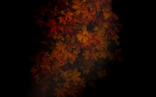 Картинка Осень, Листья, Темный, Клен, Дерево, Темные, Тени