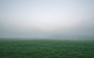 Картинка Природа, Трава, Непроглядный, Туман, Поле, Густой