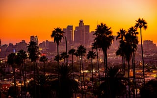 Картинка Лос-Анджелес, Города, Здания, Небоскребы, Город, Пальмы, Закат
