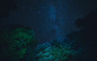 Картинка Природа, Деревья, Звезды, Звездное Небо, Ночь
