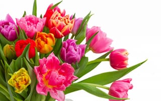 Картинка тюльпаны, colorful, bouquet, flowers, tulips