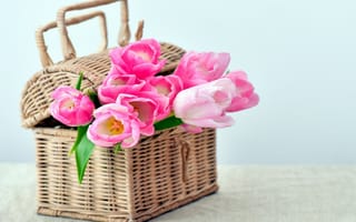 Картинка тюльпаны, розовые, корзинка