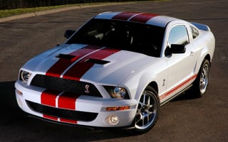 Картинка mustang, shelby, vip, white, gt500, 2007