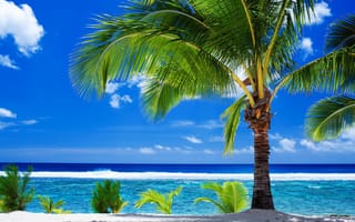 Обои природа, тропики, песок, пляж, облака, пальма