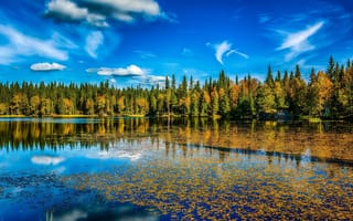 Картинка природа, реки, озера, облака, листья, осень, деревья, озеро, небо