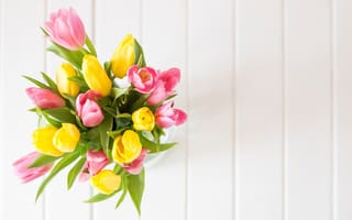 Обои тюльпаны, желтые, fresh, розовые, весна, spring, yellow, букет, tender, tulips, pink, wood, flowers