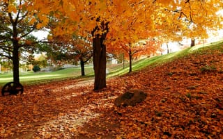 Картинка природа, парк, листопад, осень