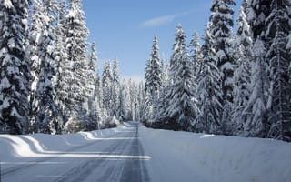 Картинка природа, дороги, дорога, снег, лес