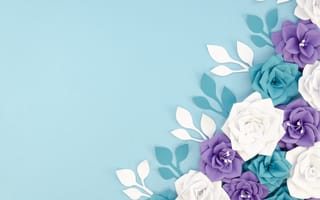 Картинка цветы , flowers, цветы, бумага, фон, голубой
