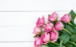 Картинка розы, букет, розовые, wood, pink, flowers, roses