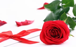 Картинка розы, роза, красный, лента, конверт