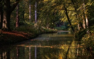 Картинка природа, реки, озера, нидерланды