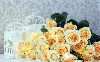 Картинка цветы, розы, чайные, много, бутоны
