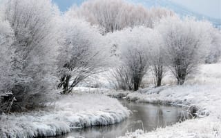 Картинка природа, реки, озера, деревья, речка, снег