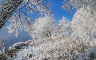 Картинка природа, зима, снег, сугробы
