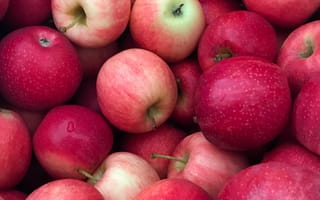 Картинка еда, яблоки, урожай, много