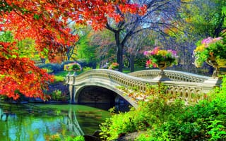 Картинка природа, парк, водоем, мостик, осень