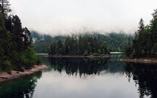 Картинка природа, реки, озера, лес, река, туман