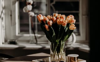 Картинка цветы, тюльпаны, букет, бутоны